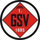 格平杰SV