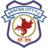 阿巴查城